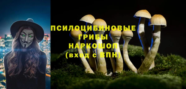 ECSTASY Костерёво