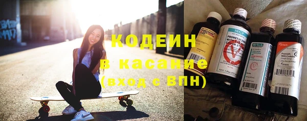 твердый Корсаков