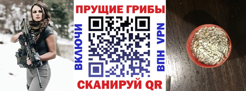 закладка  Михайловка  MEGA ссылки  маркетплейс какой сайт  Псилоцибиновые грибы Magic Shrooms 