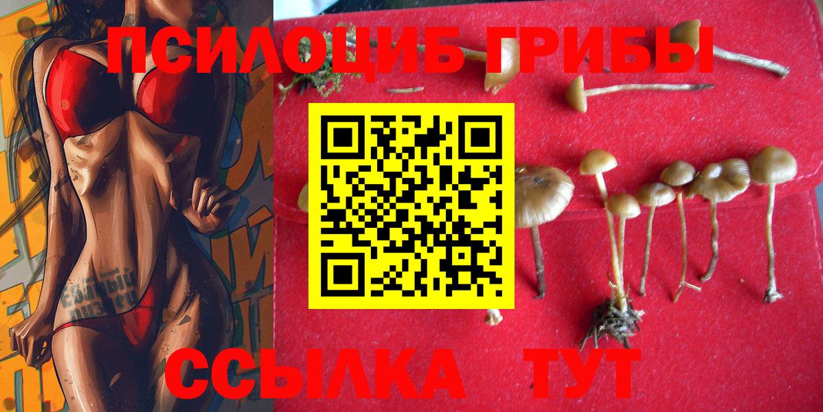 Михайловка  сколько стоит  Вход с VPN  Псилоцибиновые грибы Magic Shrooms 