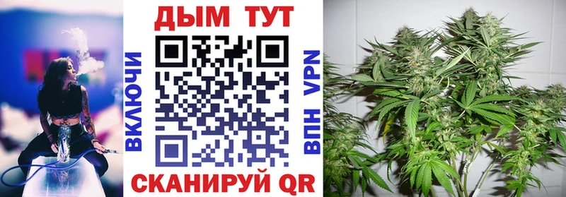 закладка  гидра маркетплейс  Марихуана THC 21%  Михайловка 